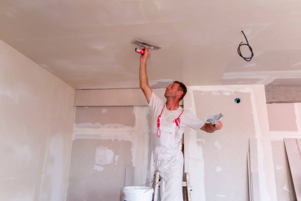 Best Drywall Sanding and Smoothing  in USA